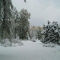 Načítavam...